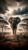 Elefant
