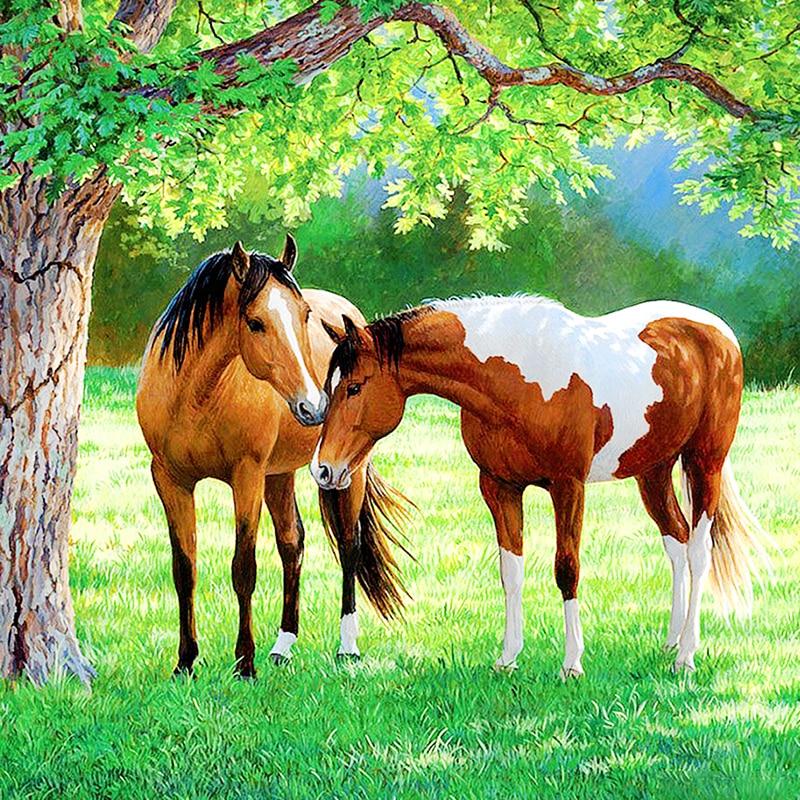 Paarden In Wei | Diamond Painting