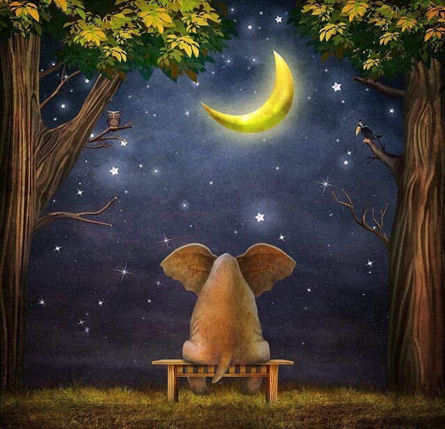 Elefant