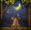 Elefant