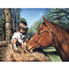 Flicka & Häst