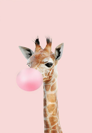 Giraff