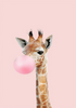 Giraff