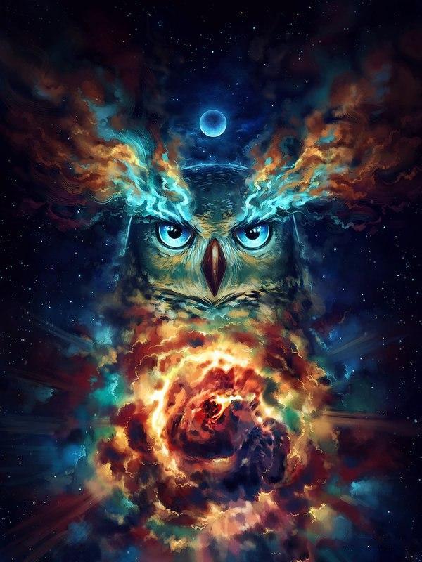 Universum Uil | Diamond Painting