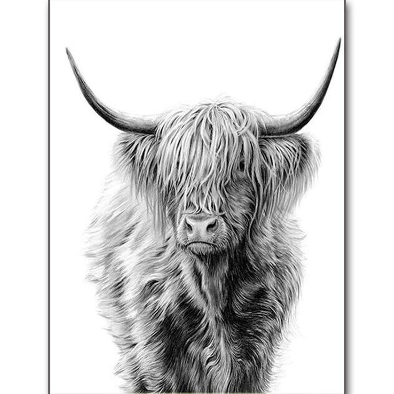Schotse Hooglander | Diamond Painting