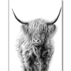 Schotse Hooglander | Diamond Painting
