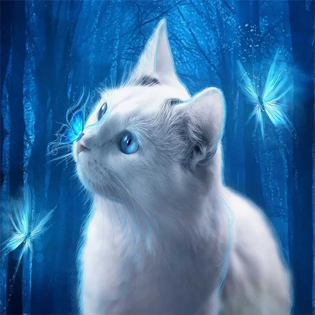 Vit Katt